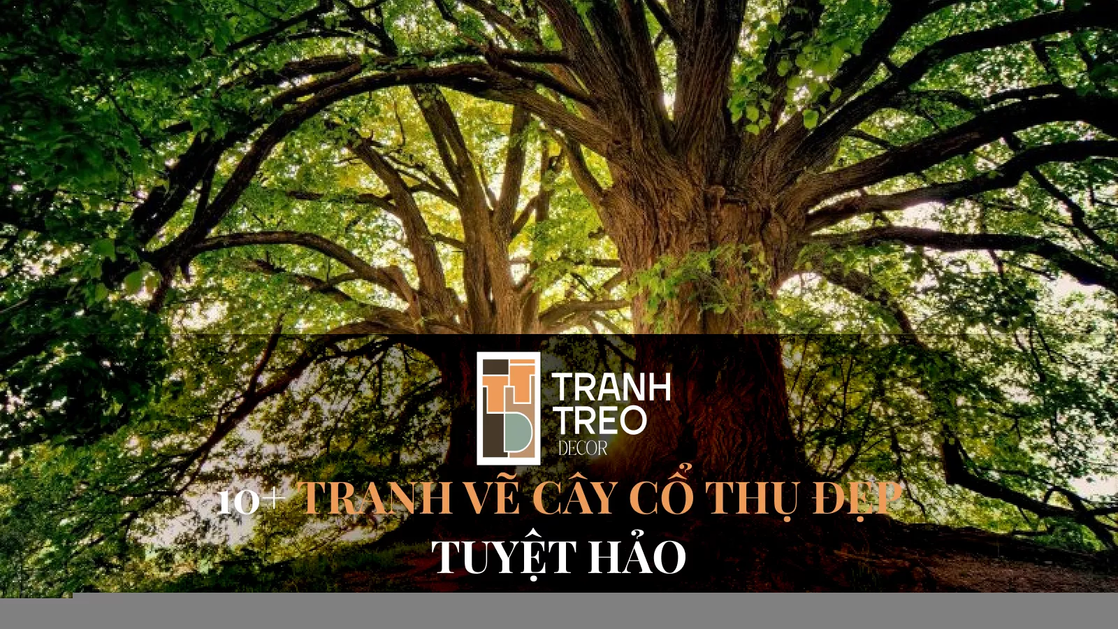 10+ mẫu tranh vẽ cây cổ thụ đẹp mang lại may mắn và bình an 