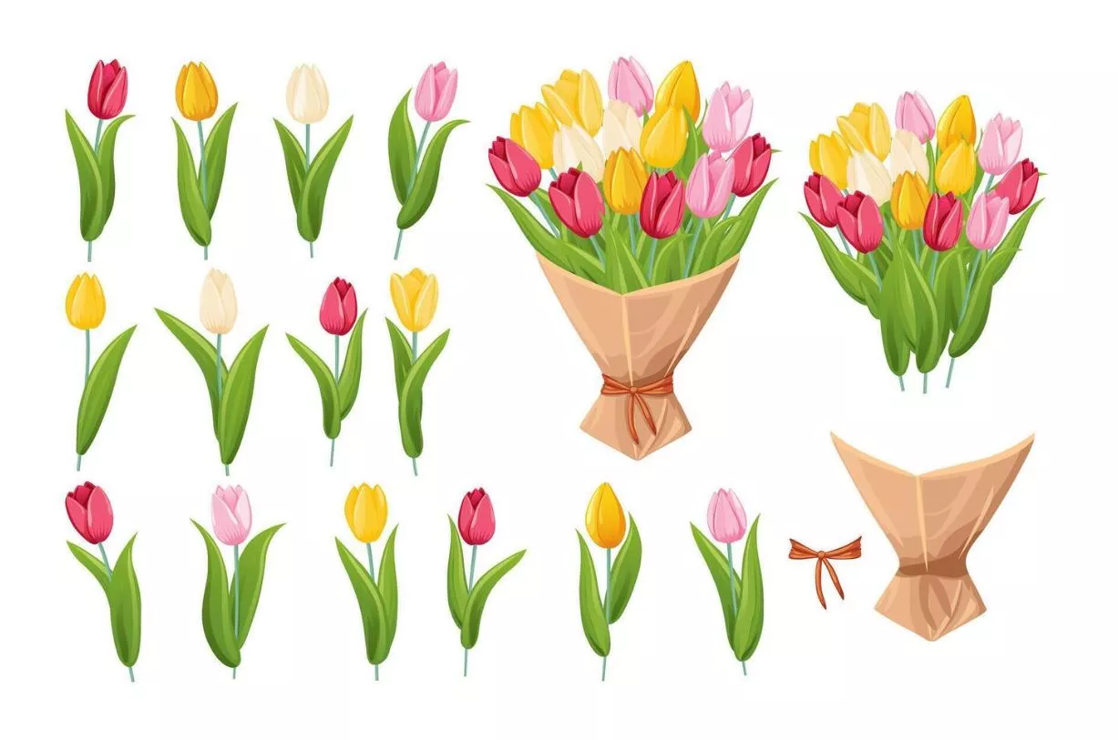 Cách vẽ bó hoa tulip ấn tượng, đẹp mắt