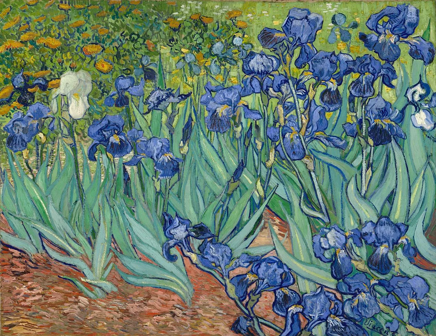 "Irises" của Vincent Van Gogh là một tác phẩm nổi bật với những bông hoa diên vĩ rực rỡ màu sắc và các chi tiết tinh tế.