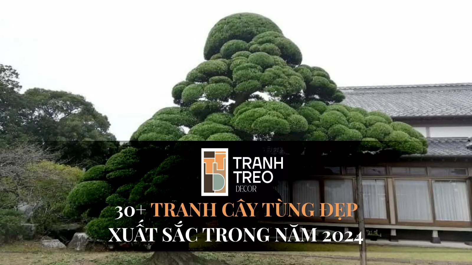 30+ mẫu tranh cây tùng đẹp nhất mang tài lộc vào nhà